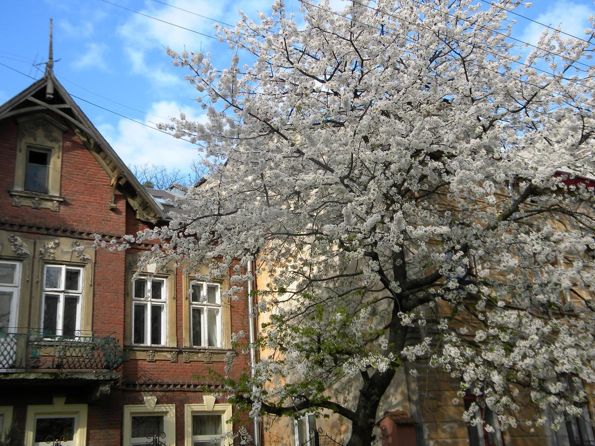 Studios At Anchevskih 3 Lviv Ngoại thất bức ảnh