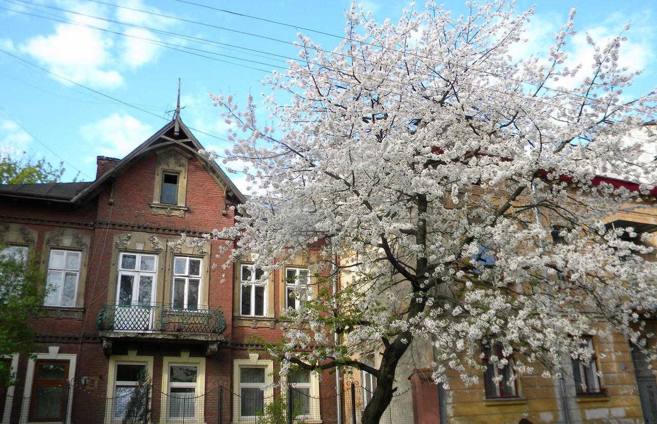 Studios At Anchevskih 3 Lviv Ngoại thất bức ảnh