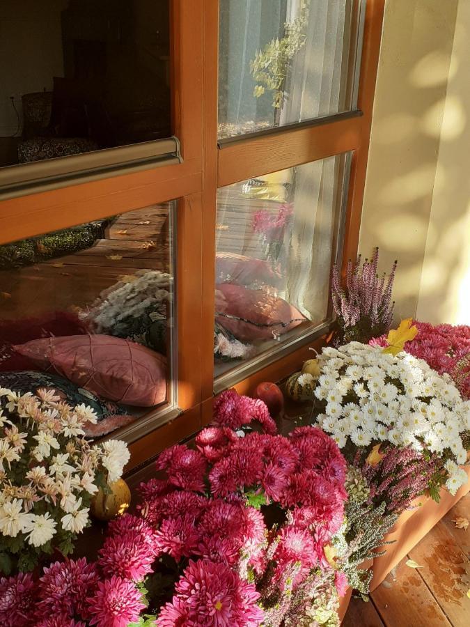 Studios At Anchevskih 3 Lviv Ngoại thất bức ảnh